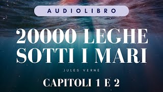 Audiolibro quot20000 Leghe sotto i Mariquot Capitoli 1 e 2  Jules Verne [upl. by Eicyac399]