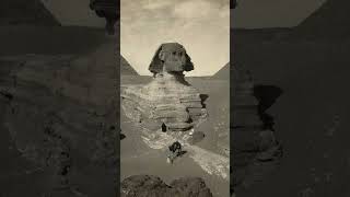 Secrets of the Sphinx What Lies Beneath sphinx ancientegypt history shorts [upl. by Kcerb559]