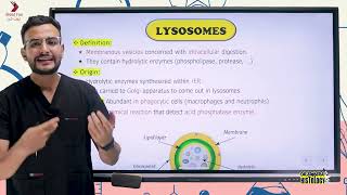 Membranous Organelles PART 2 [upl. by Emmeram]