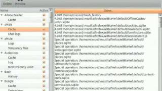 BleachBit free disk space and privacy cleaner version 053 on Ubuntu Linux [upl. by Ernest]