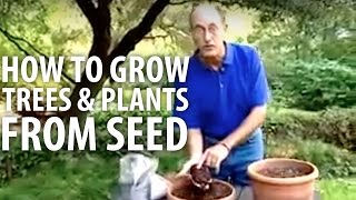 How To Grow Plants amp Trees From Seed  The Dirt Doctor [upl. by Bob]