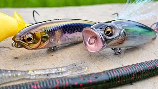 Bait Finesse Tricks For Spring And Summer Bass Fishing  Karashi Popper Soft Jerkbait [upl. by Eidur]