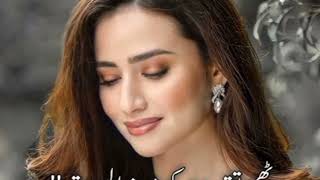 Best urdu song  New Pakistani Drama Song  ustad malang [upl. by Nerrot932]