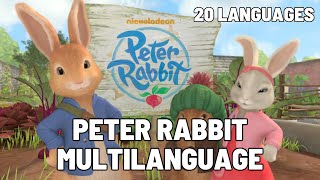 Peter Rabbit Theme Song Multilanguage 20 LANGUAGES UPDATED [upl. by Yehus104]