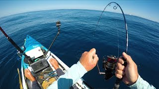 Kayak Fishing for Deep Sea Monsters  New Zealand Ep 9  Field Trips with Robert Field [upl. by Nerhtak]