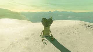 Korok seeds  Laparoh Mesa  Gerudo Tower 18  Zelda BOTW [upl. by Arjan593]