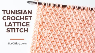 Tunisian Crochet Lattice Stitch  How To BEGINNER STITCH PATTERN  TUTORIAL [upl. by Frerichs]