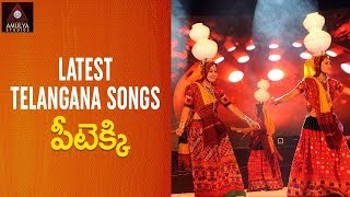 Telangana Folk Songs  Peetekki Song  Telugu Private Songs  Amulya Studios [upl. by Ennaihs880]