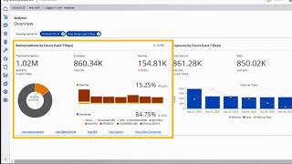 Cybersource Analytics Overview Dashboard [upl. by Rez]