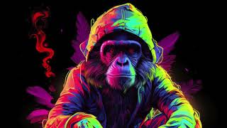 Drum And Bass Reggae 2024  LaChips  Real Monkey [upl. by Nereil]