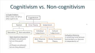 Metaethics [upl. by Ecirtnas]