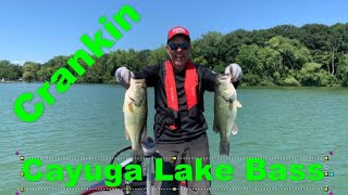 Crankin for Cayuga Bass [upl. by Ahseneuq]