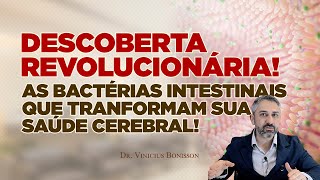 Descoberta Revolucionária As Bactérias Intestinais que Transformam sua Saúde Cerebral [upl. by Wilfreda]