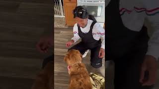 Cleaning our dog paws using automatic paw cleaner [upl. by Basile]