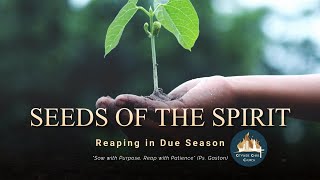 Seeds of the Spirit Reaping in Due Season [upl. by Eveneg]