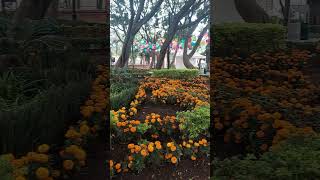 Parque de tlalpan de ciudad de mexico [upl. by Ricky782]