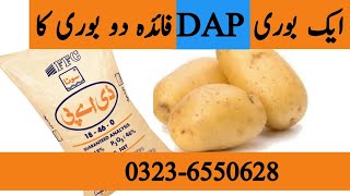 How to increase efficiency of DAP fertilizer in potato crop  Benefits of Sulfur bentonite [upl. by Irat469]