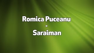 Romica Puceanu  Saraiman versuri lyrics karaoke [upl. by Nosecyrb]