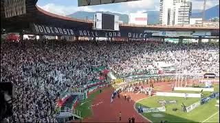 Holocausto norte vs envigado 2024 [upl. by Acey642]