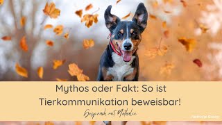 Tierkommunikation zu 100 beweisbar – So geht’s [upl. by Rey]