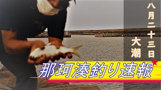 茨城県の釣り 那珂湊釣り速報8月 [upl. by Andrej]