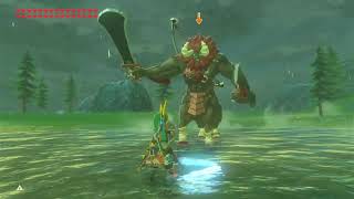 Thunderclap Rush and Daruks Rush to a Lynel BOTW [upl. by Boles]