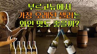 부르고뉴 최고령 셀러 샷또 드 뫼르소 와이너리 투어Chateau de Meursault Winery Tour 부르고뉴여행 [upl. by Markos145]