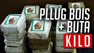 Pllug Bois Buta  Kilo instr Claic [upl. by Abdul159]