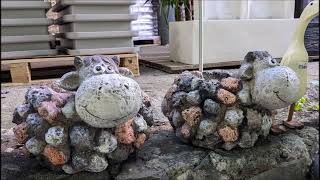 JARDINERIE A ST ANDRE EN AOUT 24 3 SUR 4 [upl. by Rock]