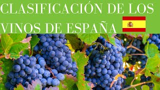 👍 ¡¡CLASIFICACIÓN de los VINOS de ESPAÑA🍷EXPLICADO✅▶COMPLETO▶CURSO DE VINOS🍷 [upl. by Tychonn]