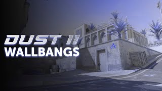 Dust 2 HvH Wallbangs [upl. by Suryc]