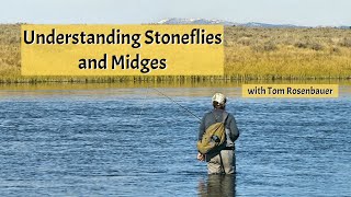 Understanding Stoneflies and Midges with Tom Rosenbauer [upl. by Lauralee]