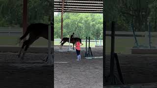 Horseback riding lesson [upl. by Annawot]