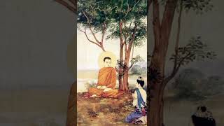 Amrapali Song  Buddhist song  Gautam Buddha Status  Buddham Saranam Gacchami [upl. by Lleraj]