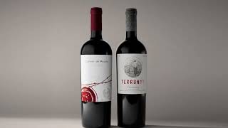 The Peumo terroir the perfect place for the rebirth of Carmenere in ChileSUB ESP [upl. by Jit]