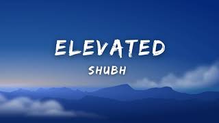 Elevated  Shubh Lyrics [upl. by Euqnimod62]