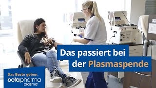 Das passiert bei der Plasmaspende [upl. by Anaes]