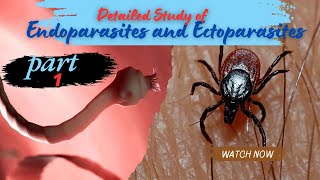 Endoparasites and Ectoparasites in detail  part 1  Endoparasites Studyswirl [upl. by Dnomyar568]