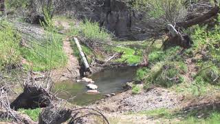 Beaver Dam Nevada RV Park and Campground Tour [upl. by Atnuahs602]