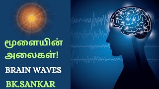 BRAIN WAVE மூளையின் அலைகள் BKSANKAR BROTHER [upl. by Yanaj]