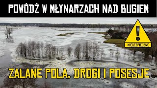 🌊 POWÓDŹ W MŁYNARZACH NAD BUGIEM 30012024 🌊 ❗ [upl. by Kerril]