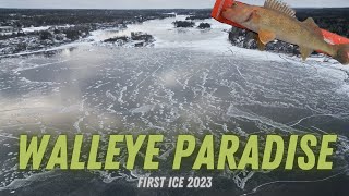 Walleye Fishing Destination Northern Ontario First Ice 2023 [upl. by Anileve433]