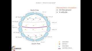 Question1 What are trade winds [upl. by Nevetse]