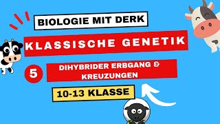 Klassische Genetik  5  Dihybrider Erbgang amp Kreuzungen 3 Mendelsche Regel  10  13 Klasse [upl. by Aisatsana643]