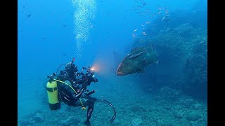 Exploring from New Zealand to the Kermadec Islands and Tonga [upl. by Reave320]