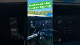 Mokkae Adaptive Cruise amp Autosteer in Action 🤩 [upl. by Auerbach]