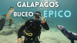 Me fui a bucear a galapagos con mi Hermano [upl. by Aanas]