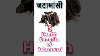 Jatamansi benefits hair skincare herbs healthconscious almond winter science ayurveda [upl. by Stephine]