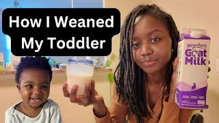 How I Weaned My Baby From Breastfeeding  Why I Chose Goat Milk [upl. by Manvil]