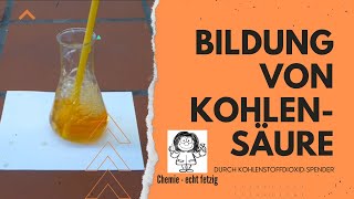 Bildung von Kohlensäure und Nachweis der sauren Lösung  mit Experiment [upl. by Dagley]